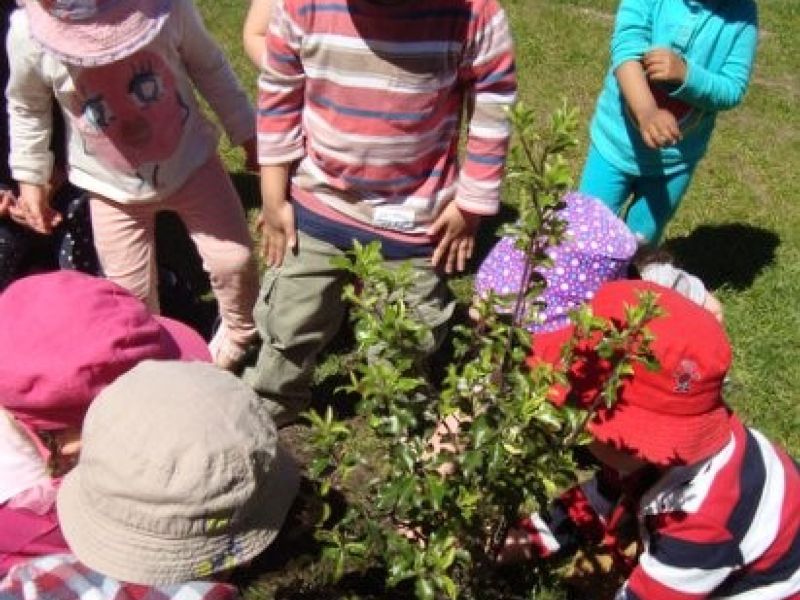 Saving Otago’s Environment